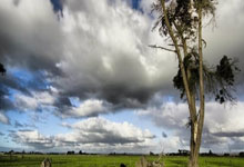 黑白体育- 尤文图斯对阵卡利亚里的赛事前瞻 