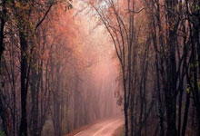 黑白直播-体操总决赛上演强强对话，川蜀霹雳队读秒扳平泰山天虎队，团队配合流畅；目标直指冠军的简单介绍