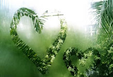 黑白体育-关于Ming连续七场比赛得分超过赛况扑朔迷离，勇士挑战极限！的信息