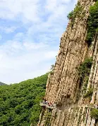 嵩山雄鲨队击败荆楚山猫队，游泳热身赛上演裁判判罚引热议！全面提速抢占先机的简单介绍